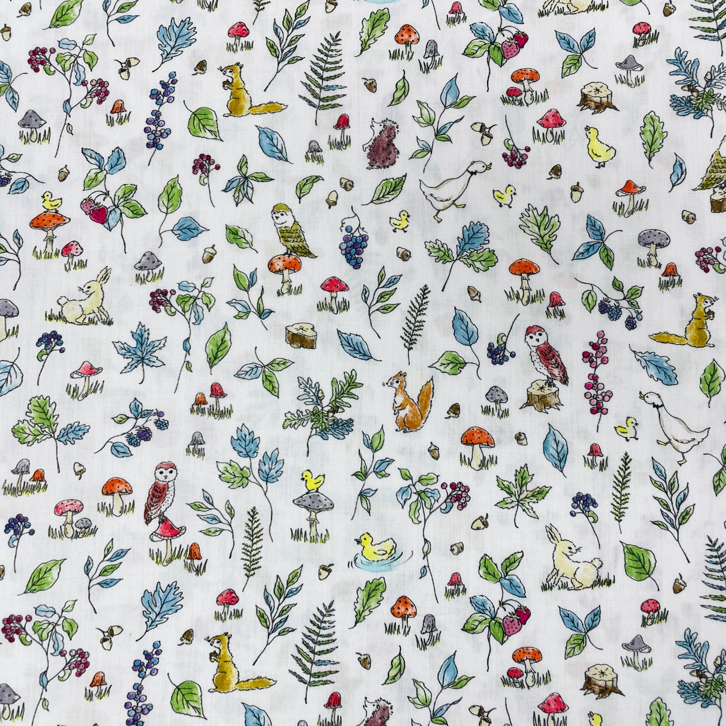 Liberty Fabrics Sana D Tana Lawn Cotton