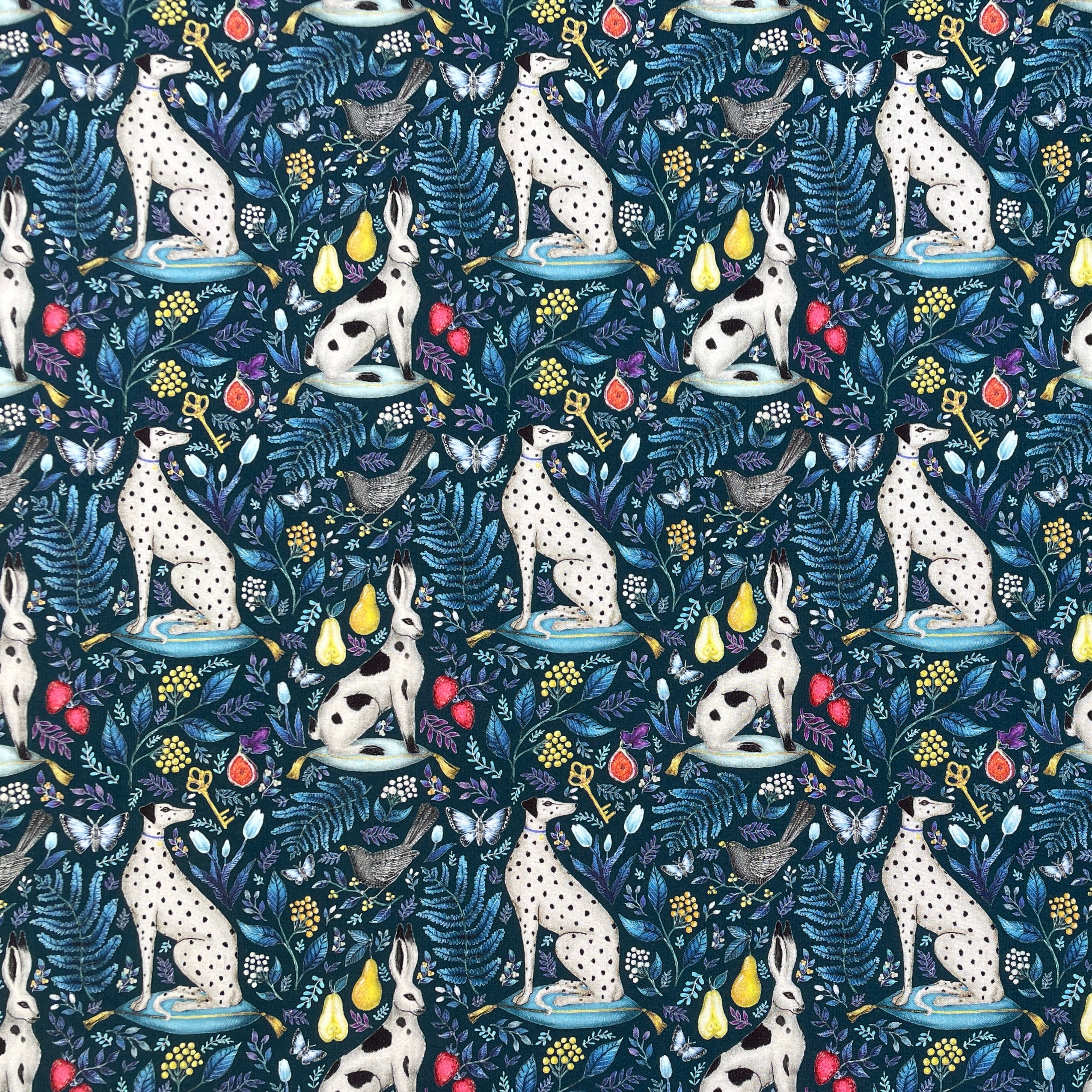 Liberty Fabrics Catherine Rowe X Piccadilly Poplin – The Little World ...