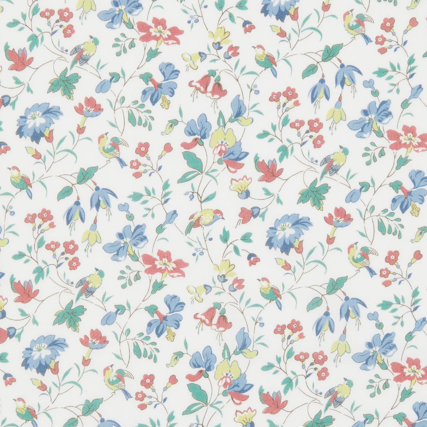 Liberty Fabrics Iveta's Garden D Tana Lawn Cotton