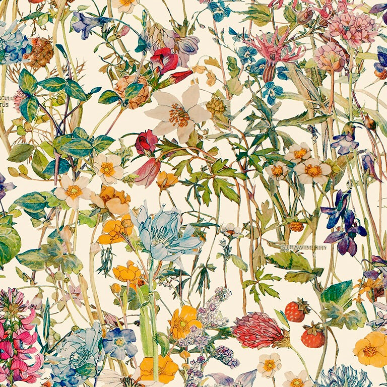 Liberty Fabrics Wild Flowers H Tana Lawn Cotton